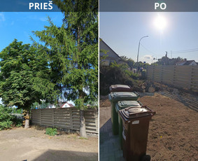 Avarinių medžių pjovimo paslaugos. - Medžių genėjimas, pjovimas - 3 Medžių genėjimas, pjovimas - Avarinių medžių pjovimo paslaugos. - 3