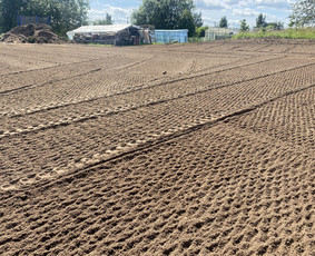 Mini krautuvo nuoma Šiauliuose / Žygimantas / Darbų pavyzdys ID 4022221