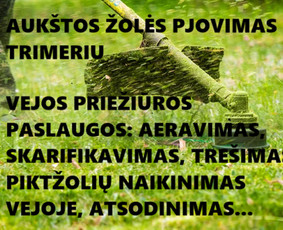 Pievų, vejų, apleistų sklypų žolės pjovimas. Vejos priežiūra / Vejos priežiūra, aukštos žolės pjovimas / Darbų pavyzdys ID 4022401