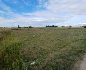 Pievų, vejų, apleistų sklypų žolės pjovimas. Vejos priežiūra / Vejos priežiūra, aukštos žolės pjovimas / Darbų pavyzdys ID 4022403