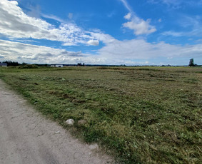 Pievų, vejų, apleistų sklypų žolės pjovimas. Vejos priežiūra / Vejos priežiūra, aukštos žolės pjovimas / Darbų pavyzdys ID 4022407