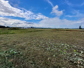 Pievų, vejų, apleistų sklypų žolės pjovimas. Vejos priežiūra / Vejos priežiūra, aukštos žolės pjovimas / Darbų pavyzdys ID 4022409