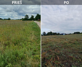 Pievų, vejų, apleistų sklypų žolės pjovimas. Vejos priežiūra / Vejos priežiūra, aukštos žolės pjovimas / Darbų pavyzdys ID 4022425