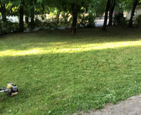 Pievų, vejų, apleistų sklypų žolės pjovimas. Vejos priežiūra / Vejos priežiūra, aukštos žolės pjovimas / Darbų pavyzdys ID 4022461