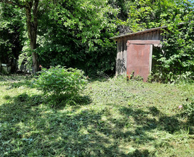 Pievų, vejų, apleistų sklypų žolės pjovimas. Vejos priežiūra - Apleistų sklypų tvarkymas - 4 Apleistų sklypų tvarkymas - Pievų, vejų, apleistų sklypų žolės pjovimas. Vejos priežiūra - 4