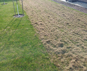 Pievų, vejų, apleistų sklypų žolės pjovimas. Vejos priežiūra - Vejos aeravimas - 3 Vejos aeravimas - Pievų, vejų, apleistų sklypų žolės pjovimas. Vejos priežiūra - 3