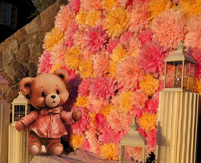 Foto sienelės nuoma - Švenčių Dekoravimas, Floristika, Fotozonų Įrengimas - 1