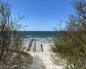 Psichologo-psichoterapeuto pagalba lietuvių/rusų kalbomis. - Psichologo konsultacija - 2 Psichologo konsultacija - Psichologo-psichoterapeuto pagalba lietuvių/rusų kalbomis. - 2