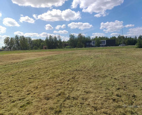 Žolės pjovimas traktoriumi, vėjapjove, trimeriu - Pievų šienavimas - 1 Pievų šienavimas - Žolės pjovimas traktoriumi, vėjapjove, trimeriu - 1