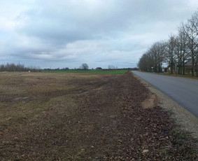 Žolės pjovimas traktoriumi, vėjapjove, trimeriu - Apleistų sklypų tvarkymas - 2 Apleistų sklypų tvarkymas - Žolės pjovimas traktoriumi, vėjapjove, trimeriu - 2