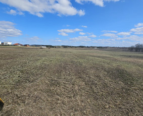 Žolės pjovimas traktoriumi, vėjapjove, trimeriu - Aplinkos tvarkymas, apželdinimas - 1 Aplinkos tvarkymas, apželdinimas - Žolės pjovimas traktoriumi, vėjapjove, trimeriu - 1