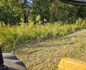Žolės pjovimas traktoriumi, vėjapjove, trimeriu - Apleistų sklypų tvarkymas - 1 Apleistų sklypų tvarkymas - Žolės pjovimas traktoriumi, vėjapjove, trimeriu - 1