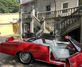 Retro ride Cadillac nuoma - Automobilių nuoma - 1 Automobilių nuoma - Retro ride Cadillac nuoma - 1