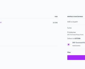 El. parduotuvių kūrimas - Interneto svetainių ir el. parduotuvių kūrimas - 2
