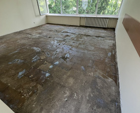 Laminato, Vinilo ir kitų dangų įrengimas. / Grindų meistrai / Darbų pavyzdys ID 4025929
