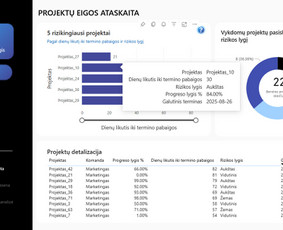 Duomenų analitika, statistikos, skaičiavimai, ataskaitos. - Skaitmenizacijos paslaugos - 3 Skaitmenizacijos paslaugos - Duomenų analitika, statistikos, skaičiavimai, ataskaitos. - 3