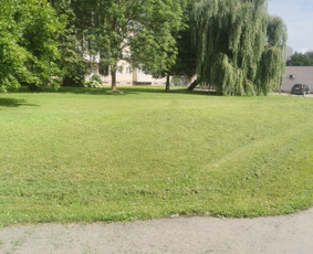 Žolės pjovimas - Žolės Pjovimas Su Trimeriu Ir Žoliapjove - 2