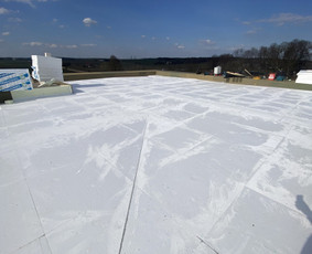 Plokščių Stogų dengimas Epdm,pvc,tpo dangomis / UAB Tiesi statyba / Darbų pavyzdys ID 4027793