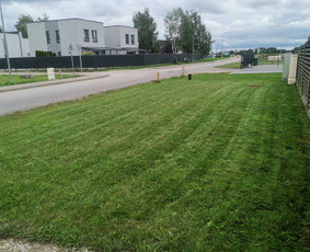 Žolės Pjovimas Su Trimeriu Ir Žoliapjove / Mindaugas / Darbų pavyzdys ID 4028579