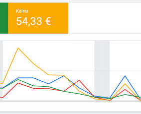 Google Ads, Facebook reklama ir Seo – daugiau klientų / Vytenis Žmuidinas / Darbų pavyzdys ID 4028673