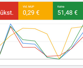 Google Ads, Facebook reklama ir Seo – daugiau klientų / Vytenis Žmuidinas / Darbų pavyzdys ID 4028677