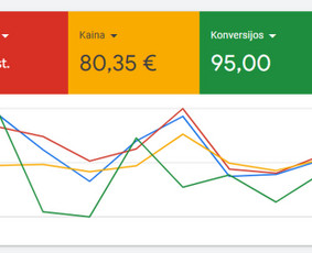 Google Ads, Facebook reklama ir Seo – daugiau klientų / Vytenis Žmuidinas / Darbų pavyzdys ID 4028679