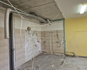 Griovimo darbai šiukšliu išvežimas / Audrius / Darbų pavyzdys ID 4028815