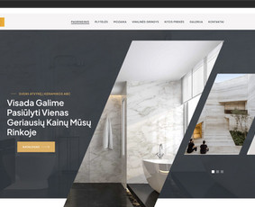 Seo Banginis – Seo, Ai Seo ir Google Ads paslaugos / Aleksejus Venzlauskas / Seo banginis / Darbų pavyzdys ID 4030683