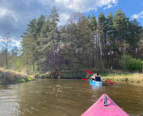 Baidairių ir irklenčių nuoma - Baidarių nuoma - 4 Baidarių nuoma - Baidairių ir irklenčių nuoma - 4