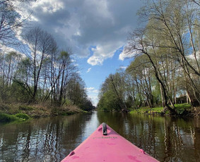 Baidairių ir irklenčių nuoma - Baidarių nuoma - 2 Baidarių nuoma - Baidairių ir irklenčių nuoma - 2