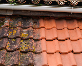 Fasadų plovimas, stogų plovimas, lietvamzdžių valymas - Stogų valymas ir priežiūra - 4 Stogų valymas ir priežiūra - Fasadų plovimas, stogų plovimas, lietvamzdžių valymas - 4