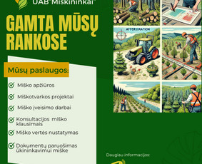 Visos miškininkystės paslaugos - Miškininkai - 2 Miškininkai - Visos miškininkystės paslaugos - 2