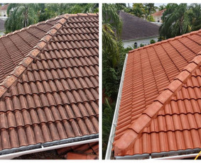 Visų tipų stogų dažymas ir fasadų dažymas - Stogų valymas ir priežiūra - 2 Stogų valymas ir priežiūra - Visų tipų stogų dažymas ir fasadų dažymas - 2