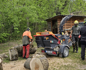 Arboristų paslaugos - medžių genėjimas, pjovimas / MB BALTA LAJA / Darbų pavyzdys ID 3966513
