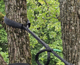 Arboristų paslaugos - medžių genėjimas, pjovimas / MB BALTA LAJA / Darbų pavyzdys ID 3966489