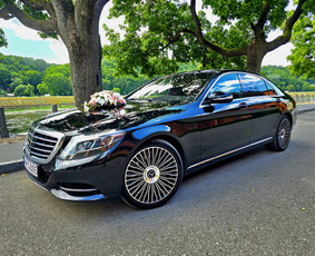 Vip transportas. Luxury Go - Transportas - 1 Transportas - Vip transportas. Luxury Go - 1