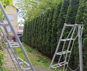 Aplinkos priežiūra ir gerbūvio darbai - Aplinka, sodas - 2 Aplinka, sodas - Aplinkos priežiūra ir gerbūvio darbai - 2