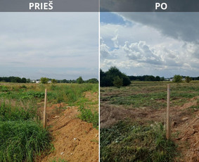 Pievų, vejų, apleistų sklypų žolės pjovimas. Vejos priežiūra - Aplinka, sodas - 2 Aplinka, sodas - Pievų, vejų, apleistų sklypų žolės pjovimas. Vejos priežiūra - 2