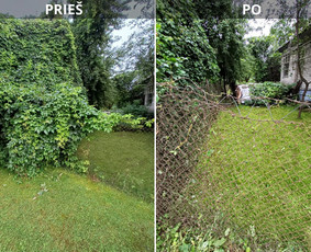 Pievų, vejų, apleistų sklypų žolės pjovimas. Vejos priežiūra - Aplinka, sodas - 1 Aplinka, sodas - Pievų, vejų, apleistų sklypų žolės pjovimas. Vejos priežiūra - 1