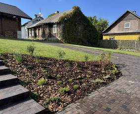 Kiemo, aplinkos apželdinimas - Kiemų/terasų/balkonų apželdinimas - 4