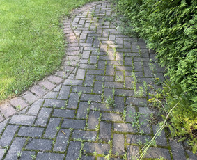 Fasadų, stogų, trinkelių plovimas visoje Lietuvoje! - Trinkelių valymas - 1 Trinkelių valymas - Fasadų, stogų, trinkelių plovimas visoje Lietuvoje! - 1