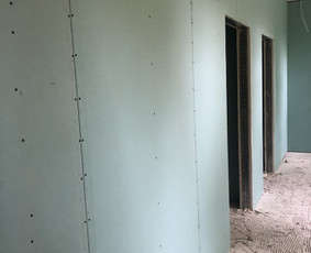 Gipso montavimas, Dažymo paslaugos / Deilic MB / Darbų pavyzdys ID 4036017