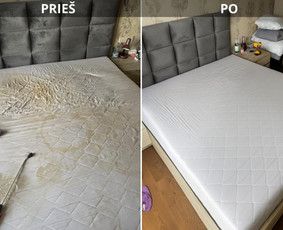 Buto valymas po nuomininkų - Cheminis baldu valymas , postatybinis, generalinis valymai. - 2