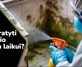 Pelėsio ir medžio grybo "Trobagrybio" naikinimas, šalinimas / PelėsioNaikinimasSalinimas.lt / Darbų pavyzdys ID 4036765