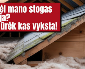 Pelėsio ir medžio grybo "Trobagrybio" naikinimas, šalinimas / PelėsioNaikinimasSalinimas.lt / Darbų pavyzdys ID 4036781