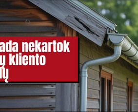 Pelėsio ir medžio grybo "Trobagrybio" naikinimas, šalinimas / PelėsioNaikinimasSalinimas.lt / Darbų pavyzdys ID 4036791