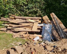 Pelėsio ir medžio grybo "Trobagrybio" naikinimas, šalinimas / PelėsioNaikinimasSalinimas.lt / Darbų pavyzdys ID 4036887