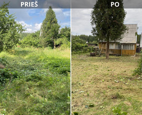 Apleistų sklypų tvarkymas - Sklypų tvarkymas: medžių ir krūmų pjovimas su i&scaron;vežimu. - 4