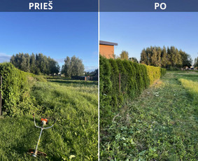 Sklypų, Dnsb pjovimas, priežiūra, gerbūvio darbai - Žolės pjovimas - 1 Žolės pjovimas - Sklypų, Dnsb pjovimas, priežiūra, gerbūvio darbai - 1