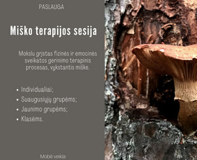 Dailės terapija individualiai bei grupėms, gyvai ir nuotoliu - Kūrybinių dirbtuvių vedimas renginiuose - 3 Kūrybinių dirbtuvių vedimas renginiuose - Dailės terapija individualiai bei grupėms, gyvai ir nuotoliu - 3